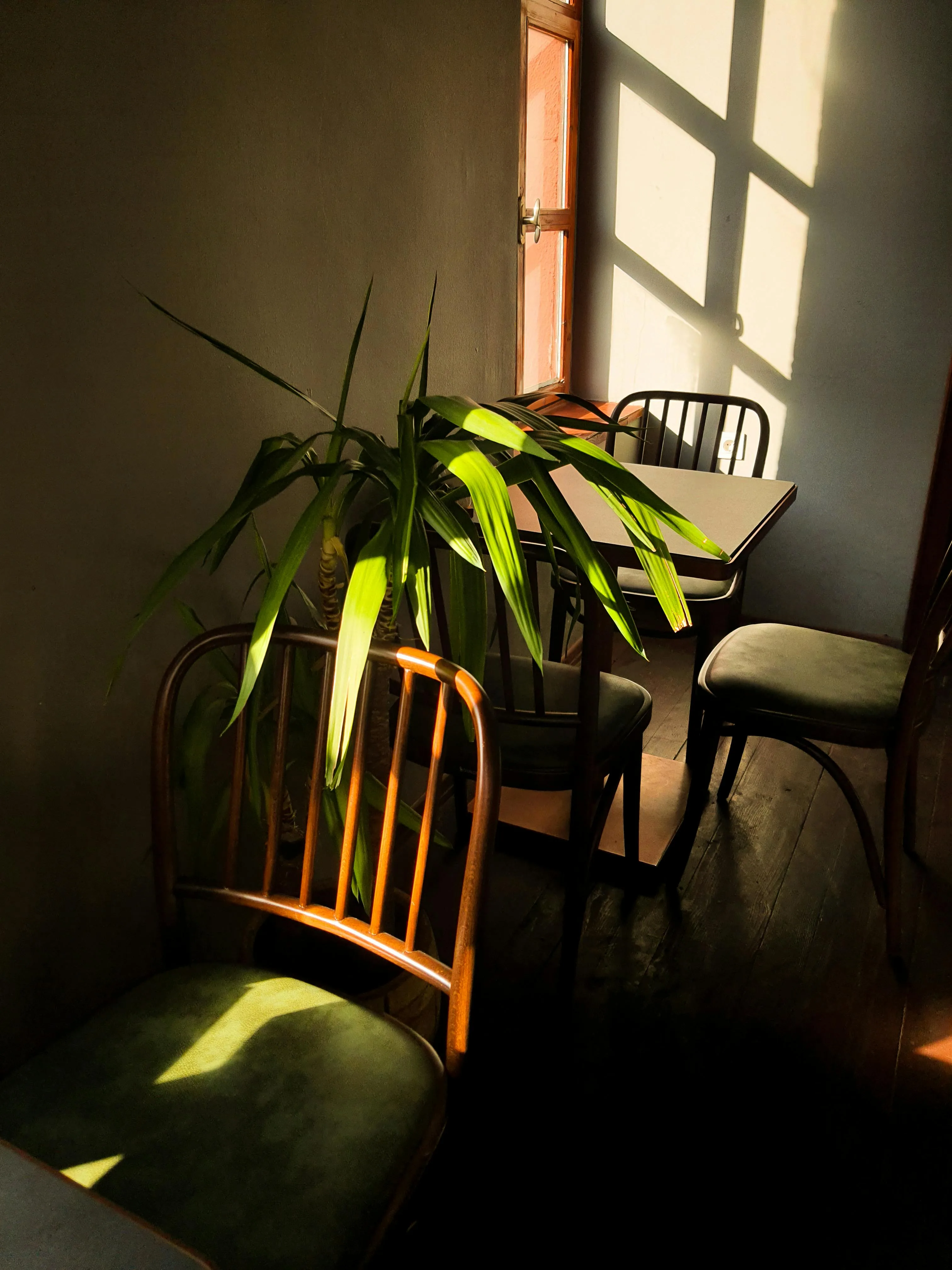 AI camera viewfinder